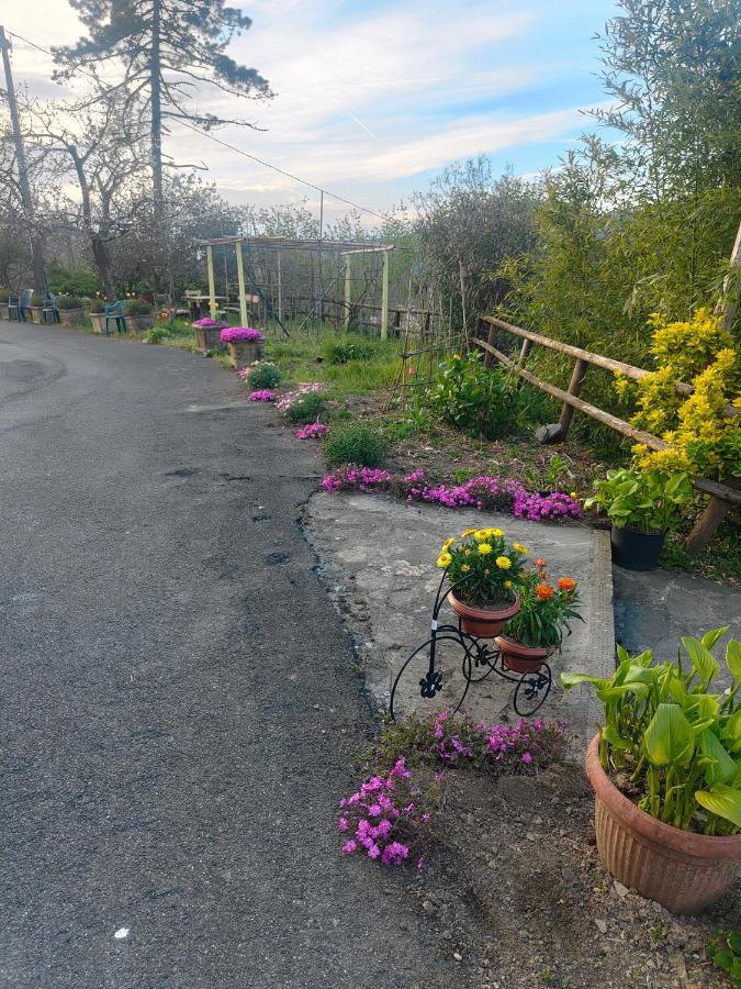 فندق Il Giardino Dei Pavoni Soviore المظهر الخارجي الصورة